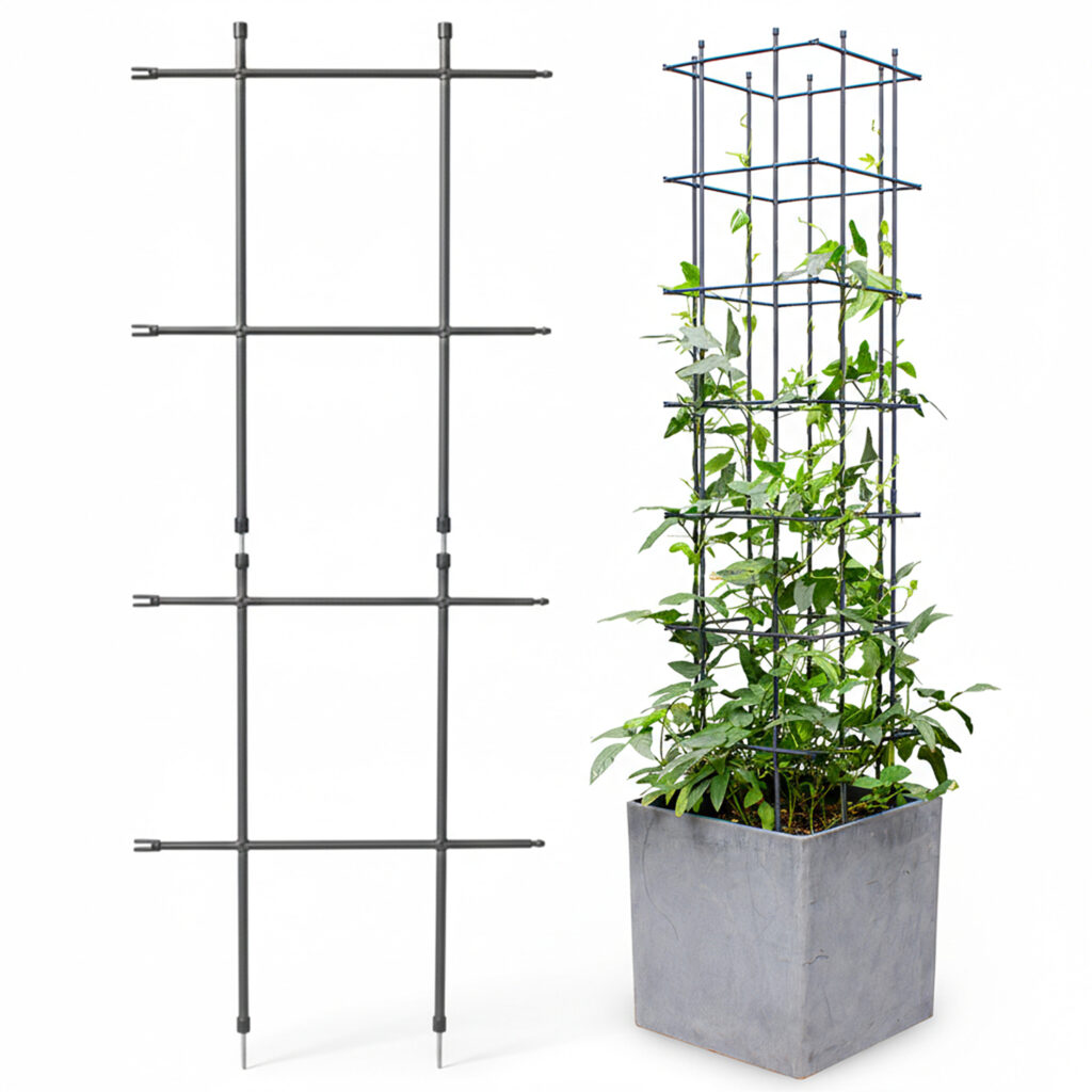 DAIM’s New Product: Multi-Link Trellis b0ggt7krp9.main