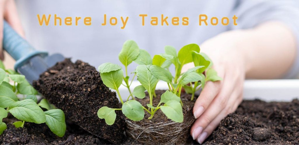 Turning Lemons into Lasting Value: What DAIM Learned at Glee 2026 joy takes root