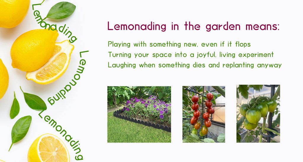 Turning Lemons into Lasting Value: What DAIM Learned at Glee 2026 lemonading