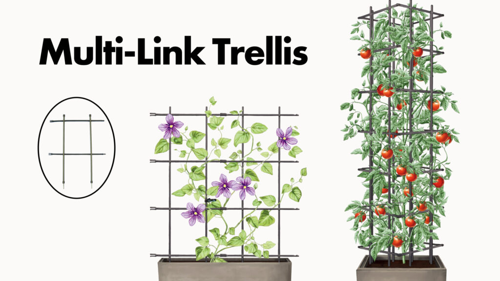 multi link trellis (0;00;00;00)