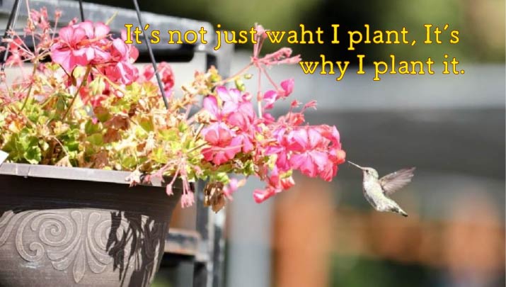 Turning Lemons into Lasting Value: What DAIM Learned at Glee 2026 why plant it