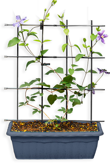 DAIM’s New Product: Multi-Link Trellis フェンス型 (2) ショートパターン